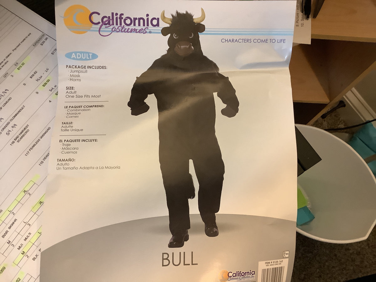 Bull - Adult