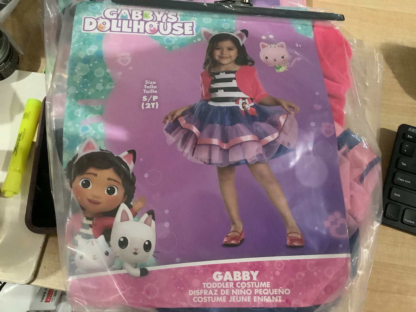 *DW Gabby’s Dollhouse Tutu Dress- Gabby - Toddler Small (2T)