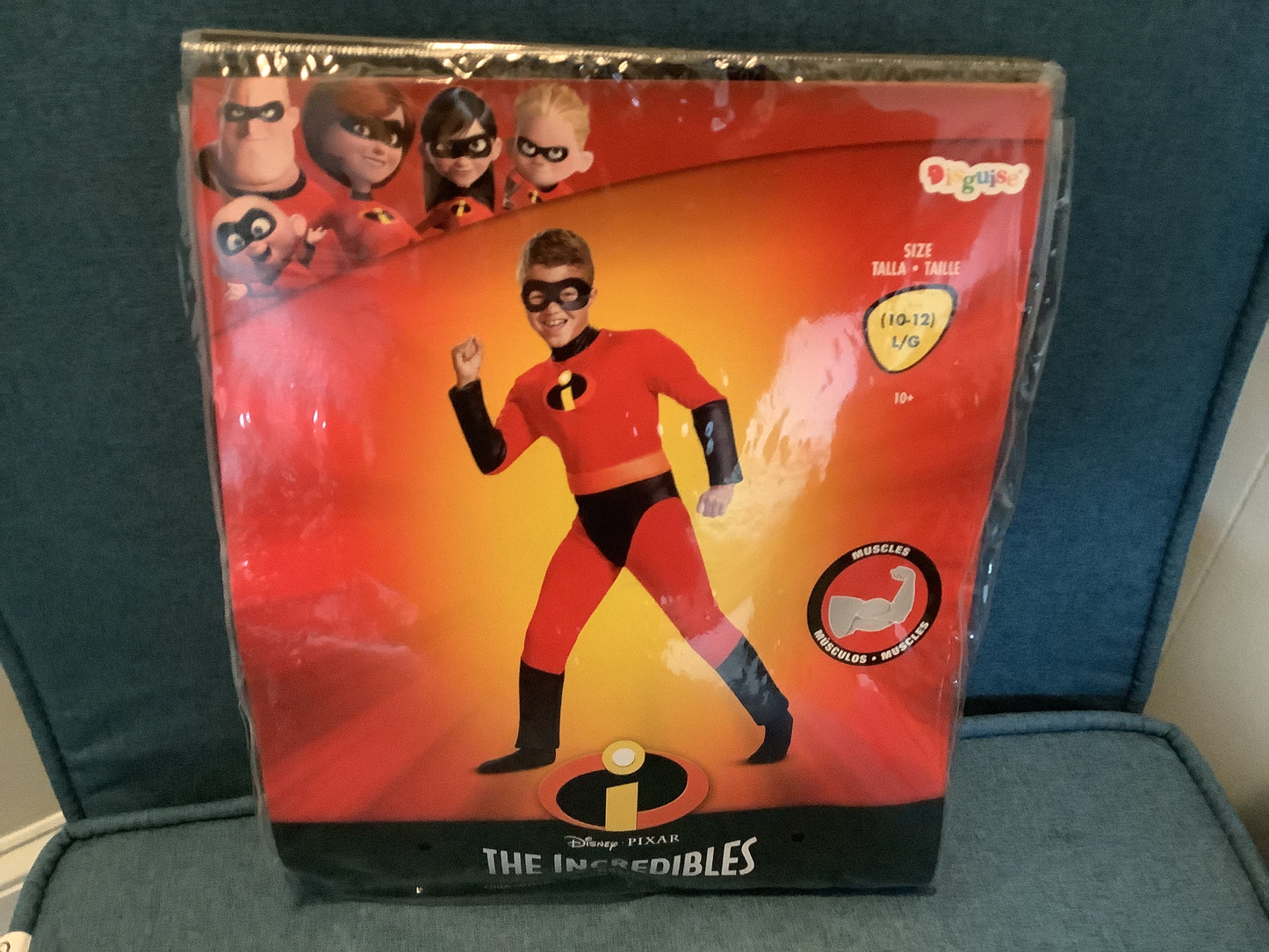 *Dash Classic Muscle - Large (10-12)