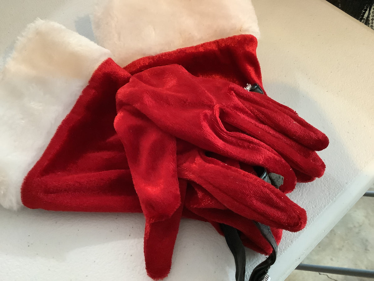Santa Gloves