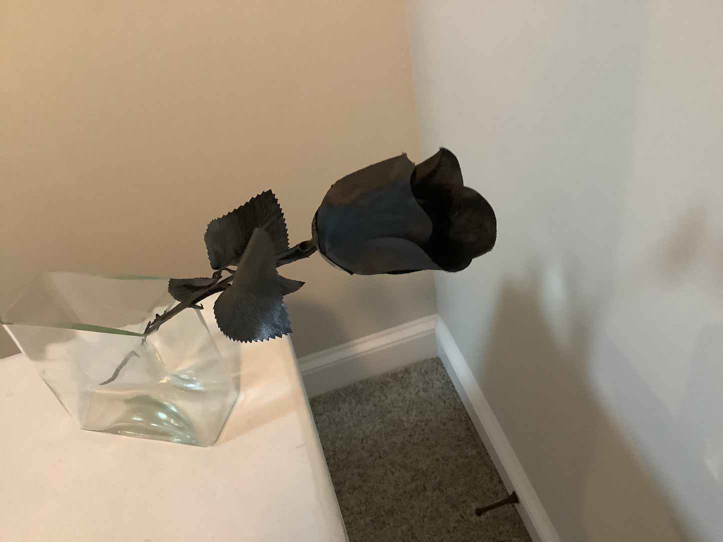 *Black Rose with Black Stem