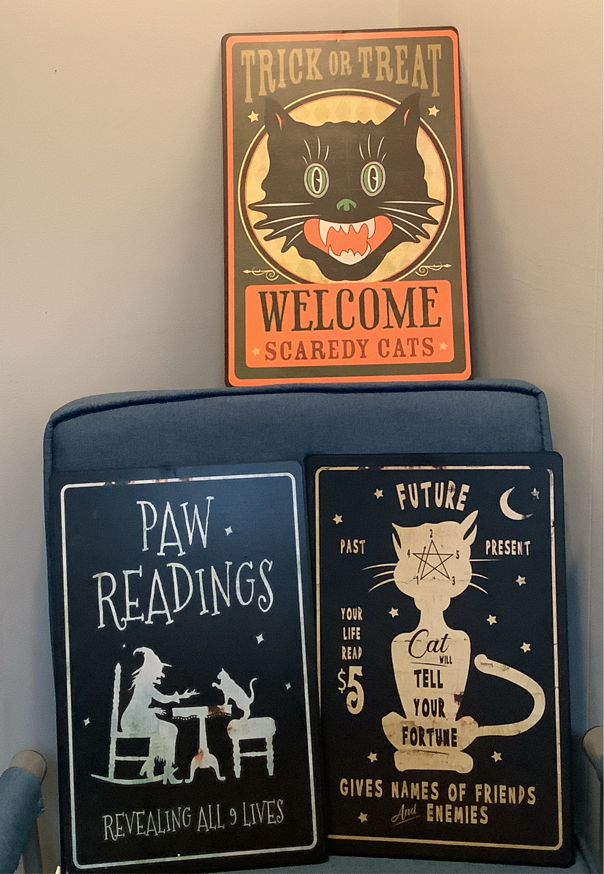 17” Metal Sign-Cat-Assortment