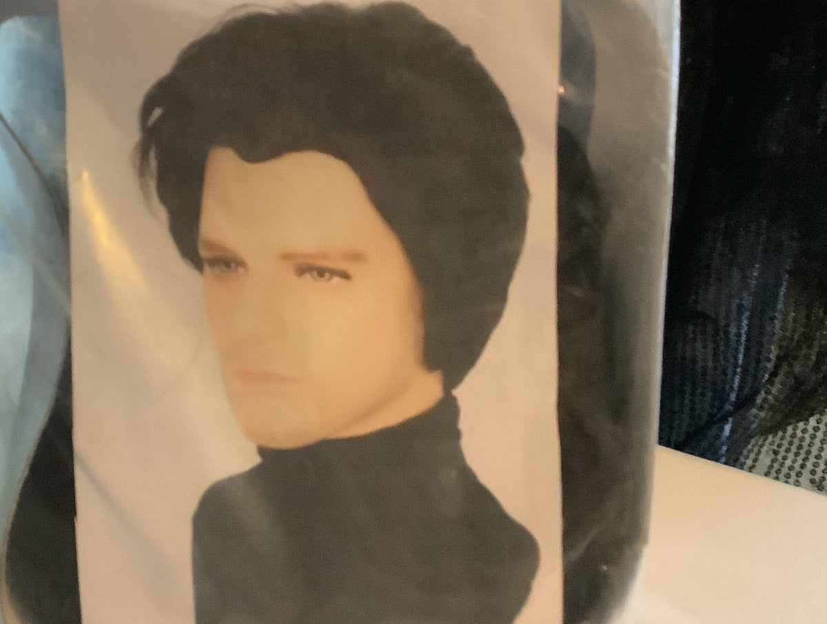 Adult Elton John Wig Black