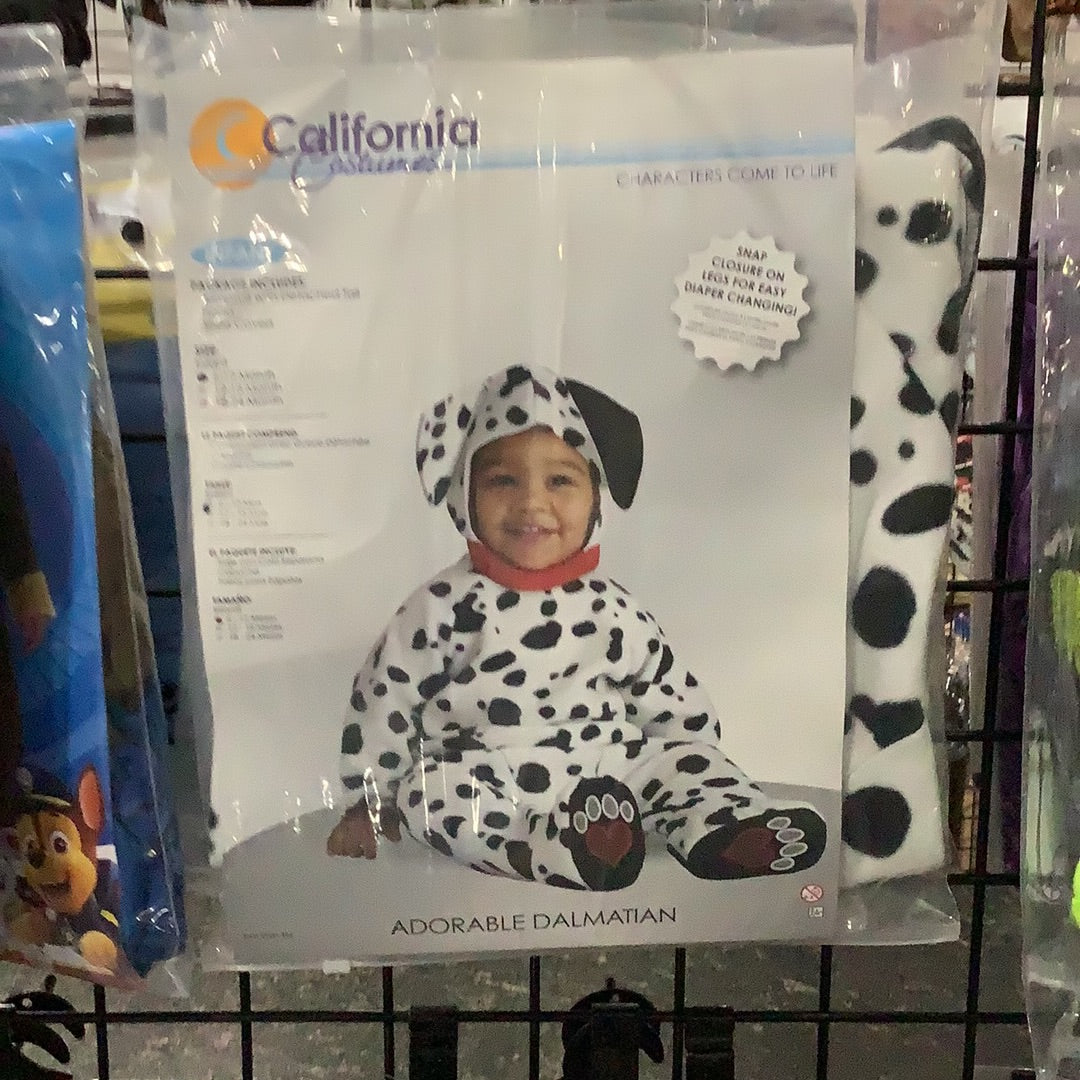 *Adorable Dalmatian - Infant