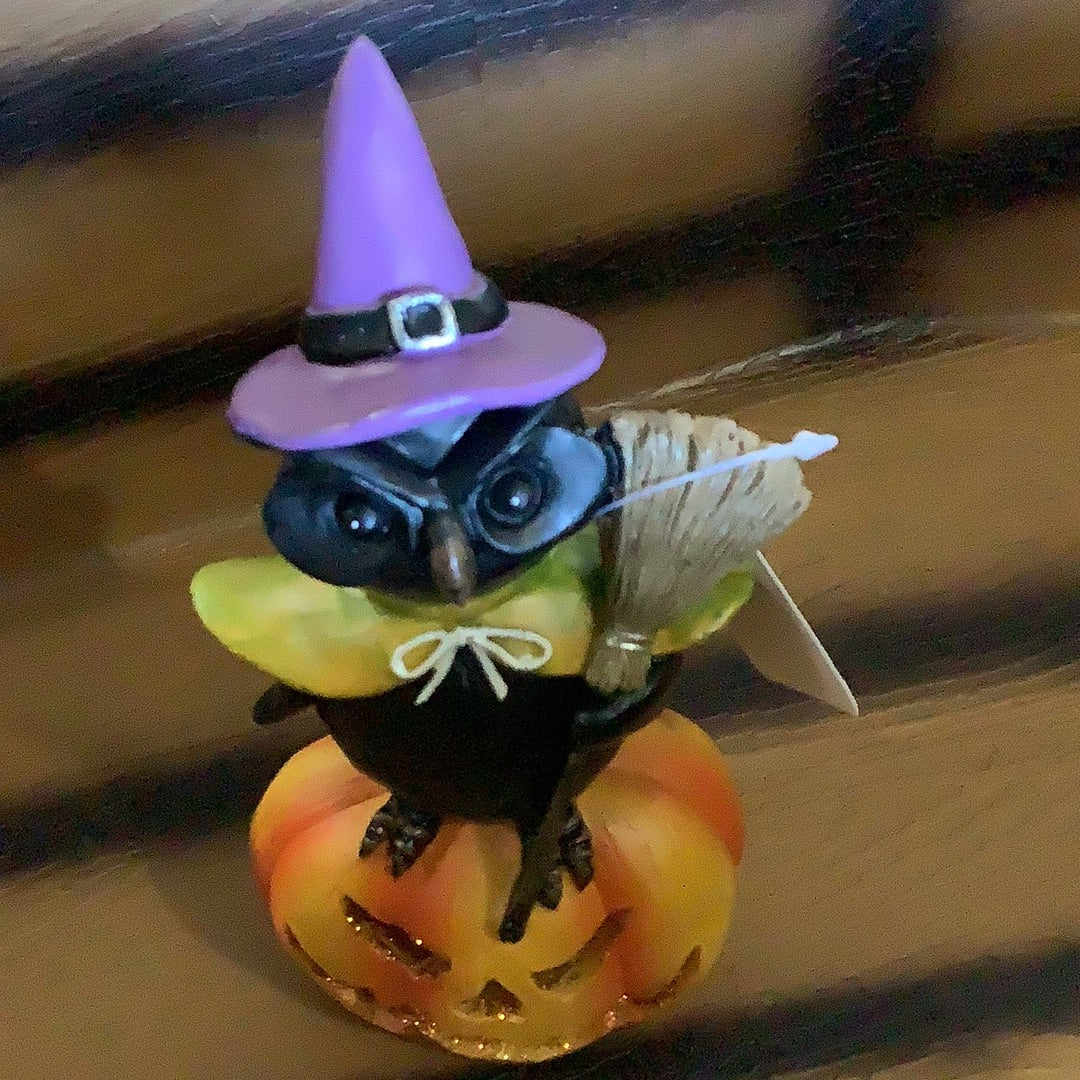 Owl Witch on Pumpkin Light