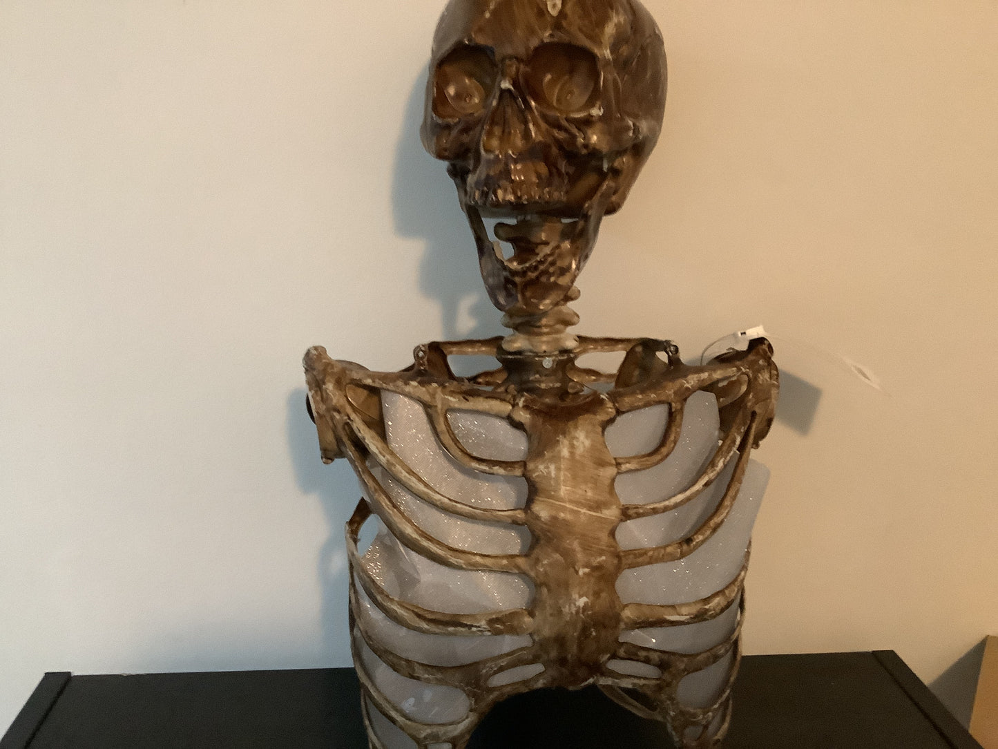 Torso with Light Up Eyes