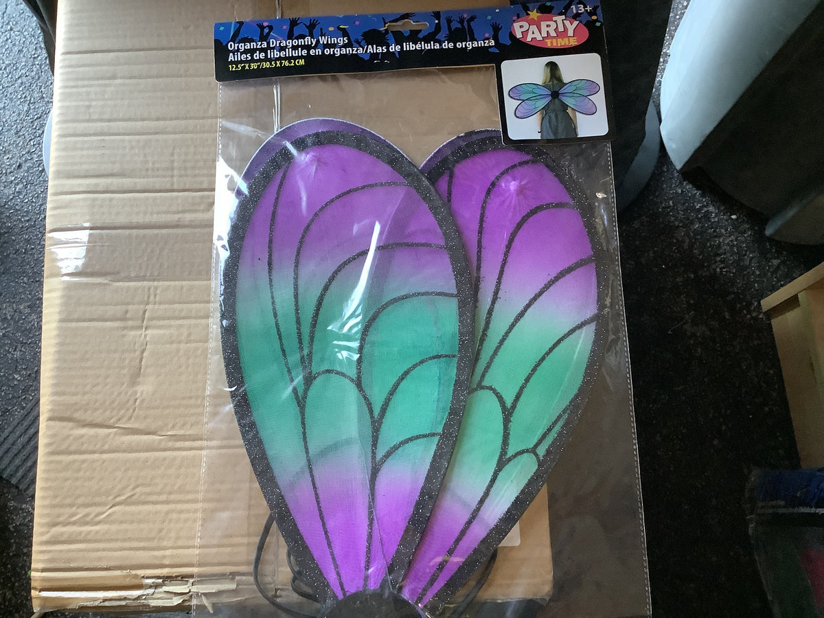 Dragonfly Wings
