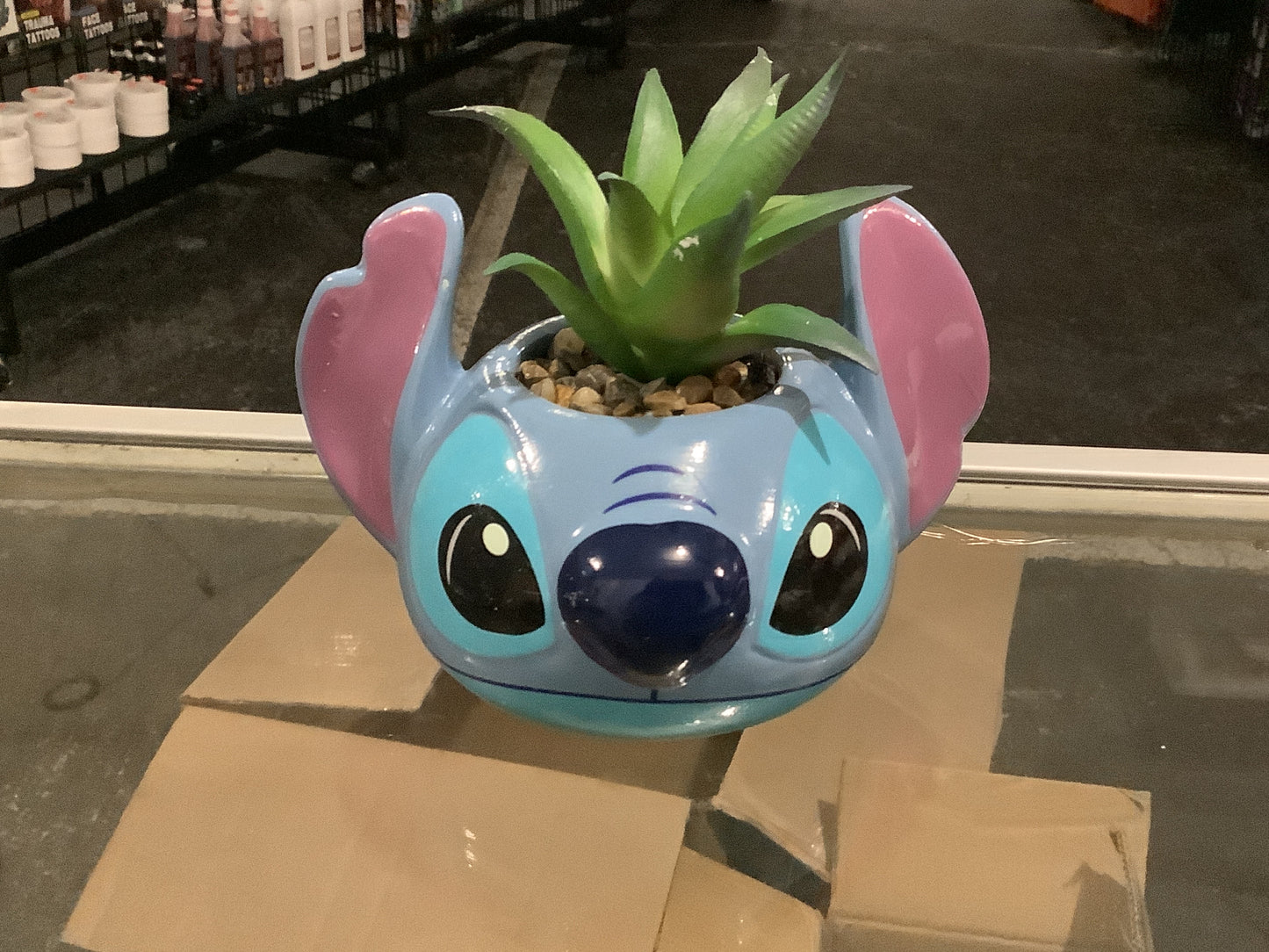 Disney Lilo & Stitch Succulent