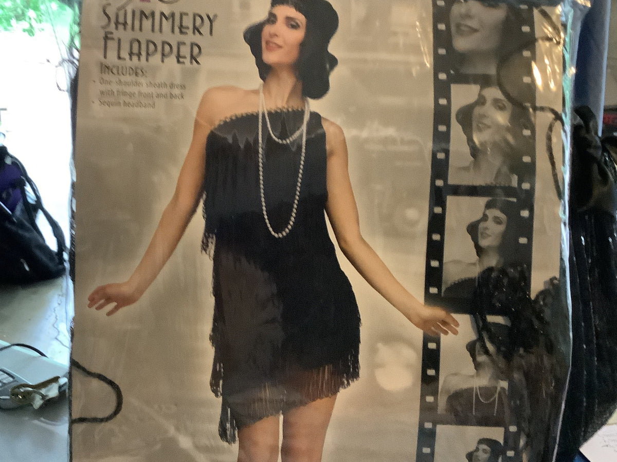 1920’s Shimmery Flapper Adult Sm-Med