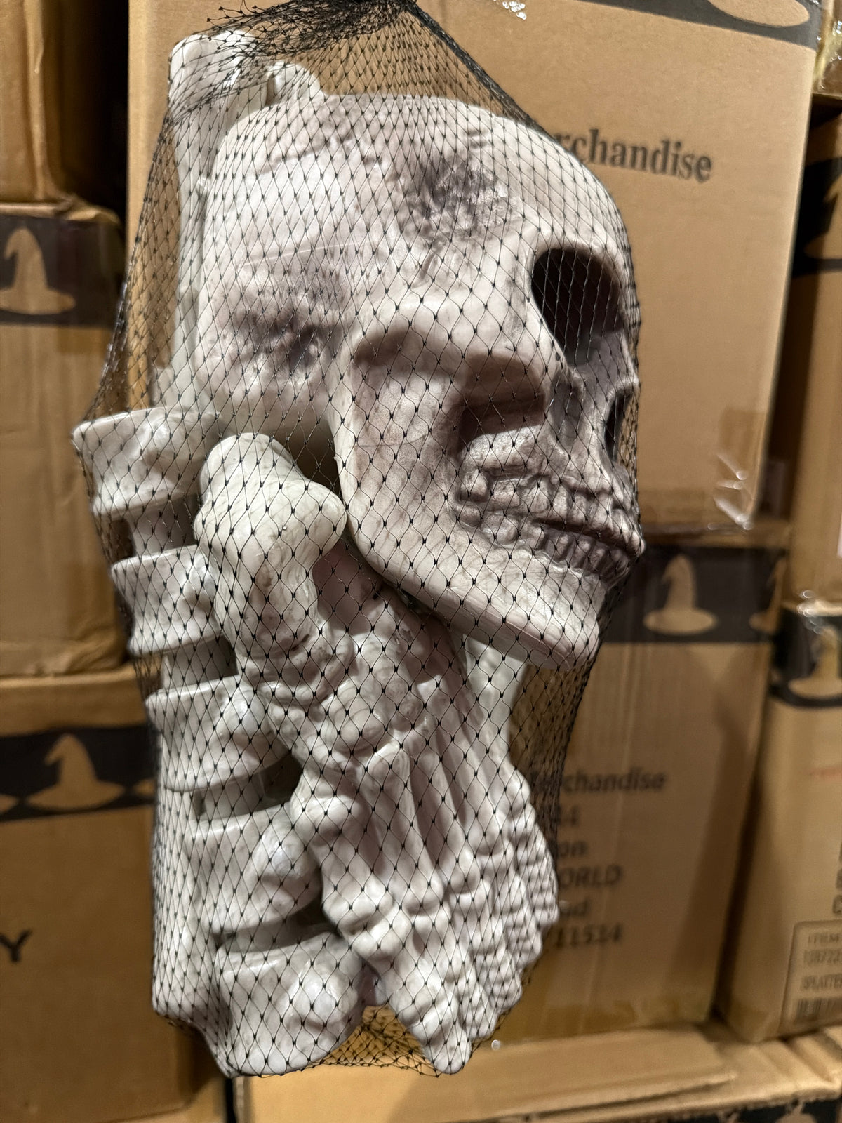 Bag O’ Bones