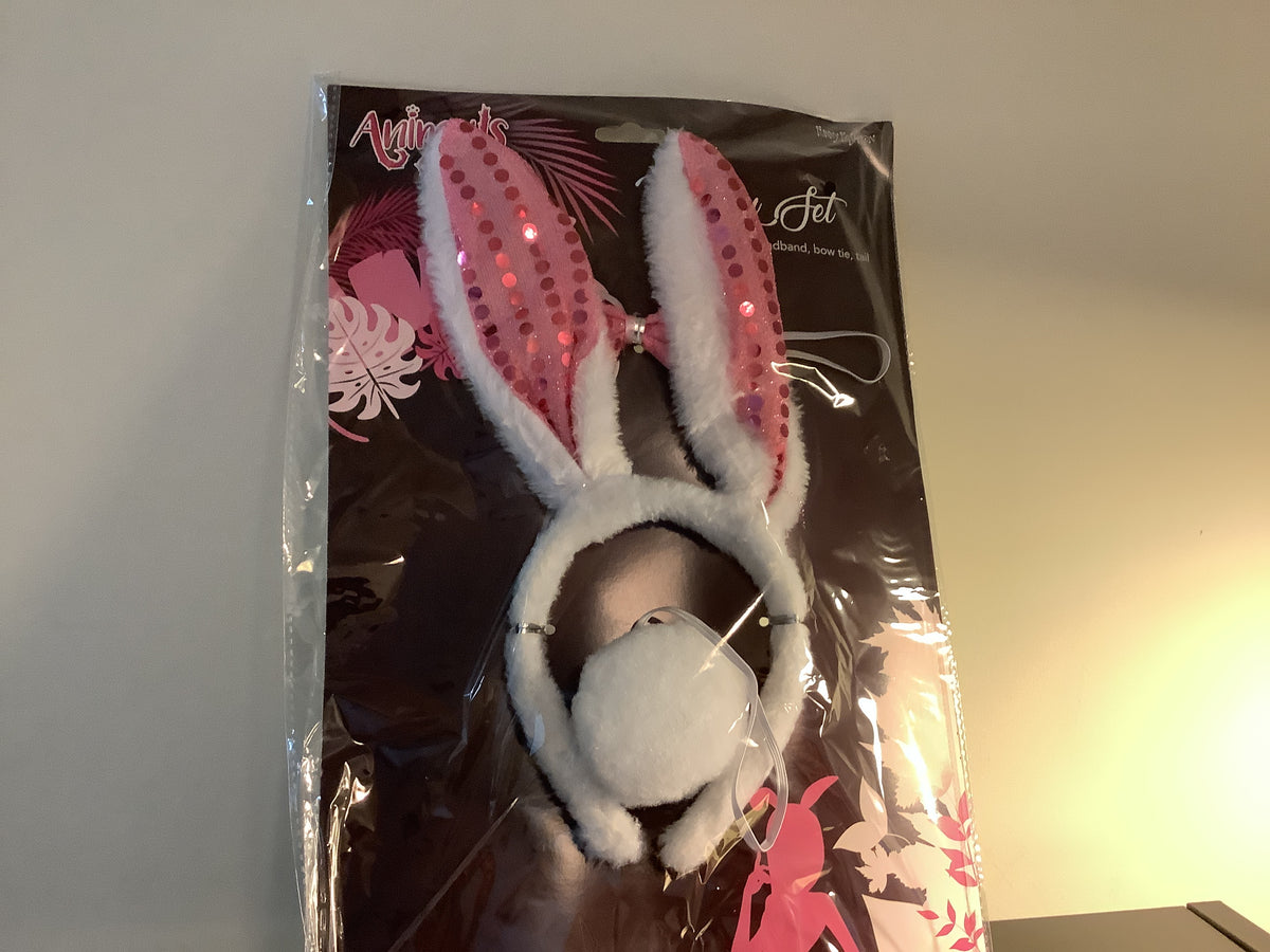 Bunny Set