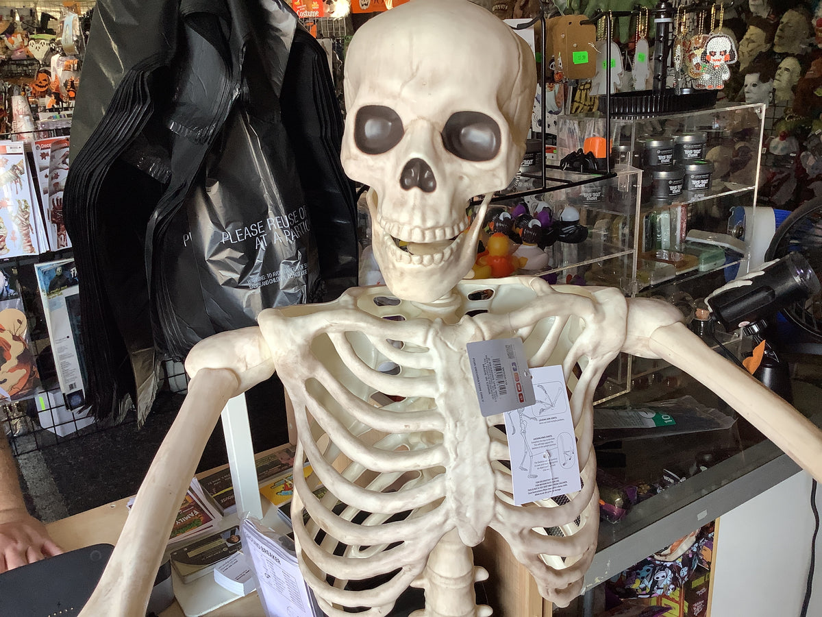60 inch posable skeleton