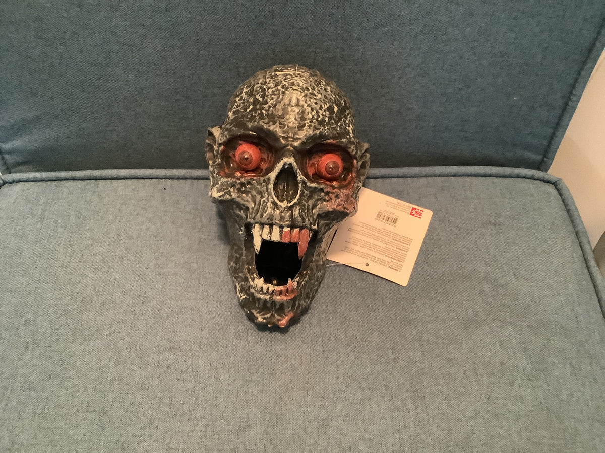 7.9” Skull