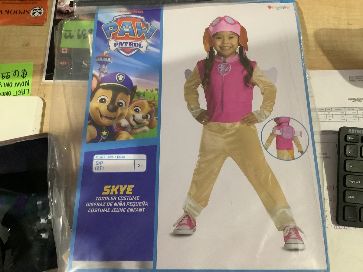 *Paw Patrol - Skye - Toddler Small (2T)