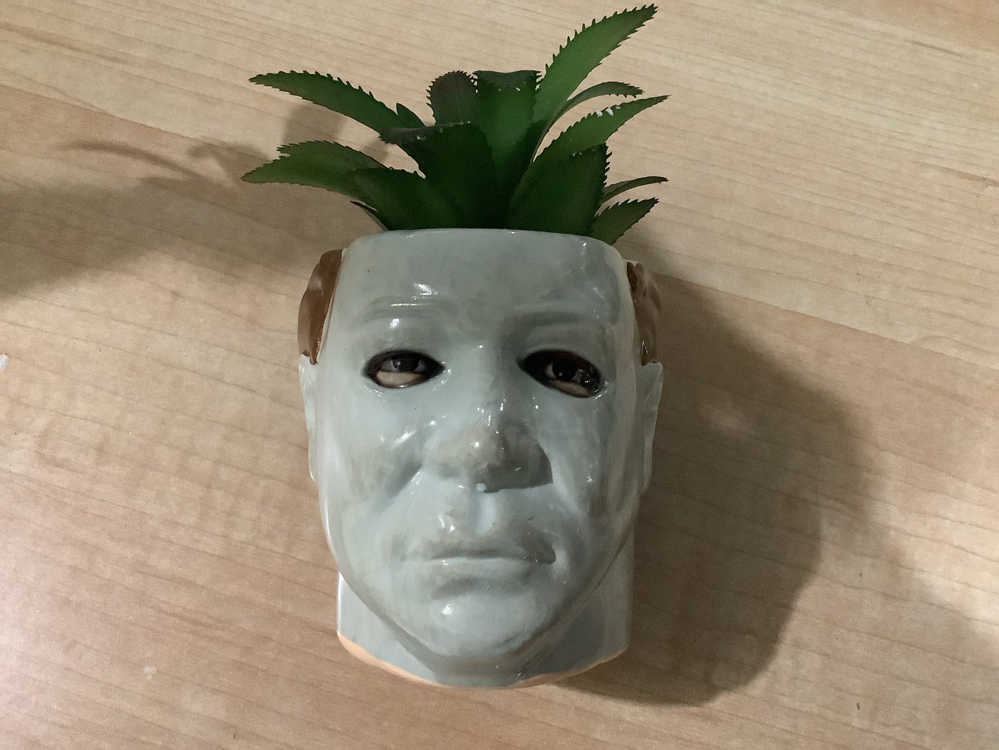 Michael Myers Succulent