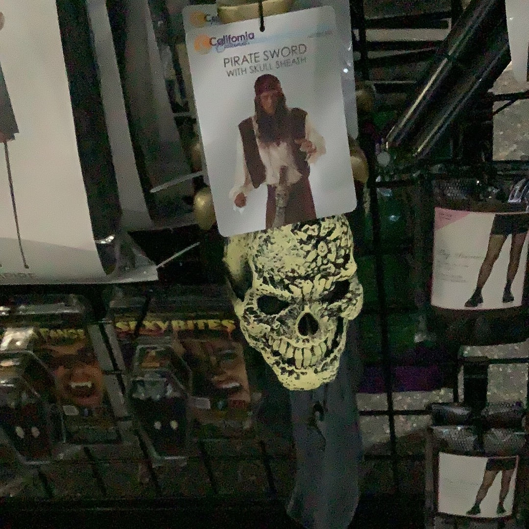 Pirate Sword with Skull Sheath
