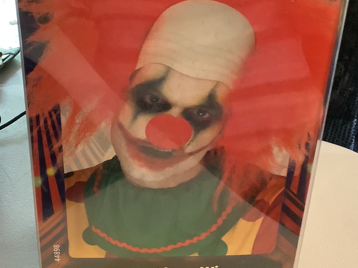 Adult Deluxe Clown Wig