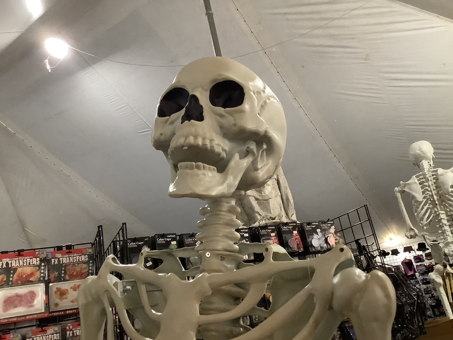 7 ft Skeleton - Pose & Hold