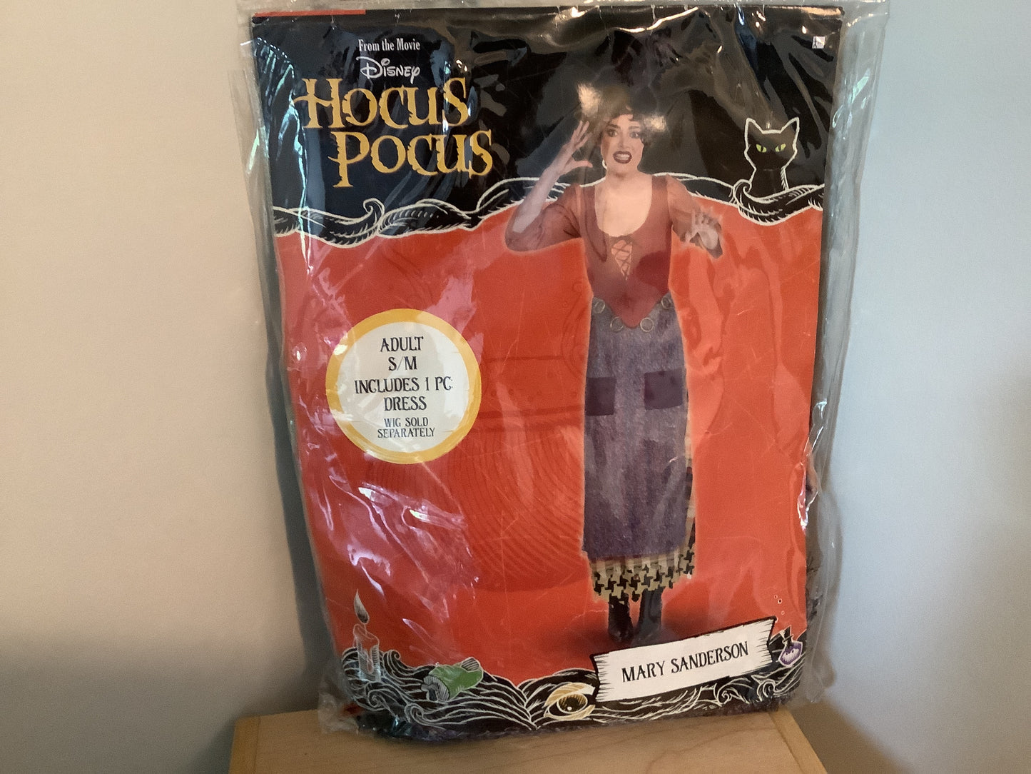 Hocus Pocus - Mary Adult Small