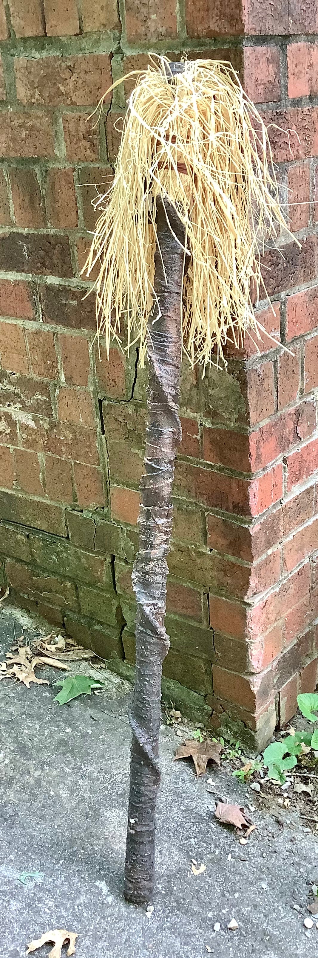 Broom Staff