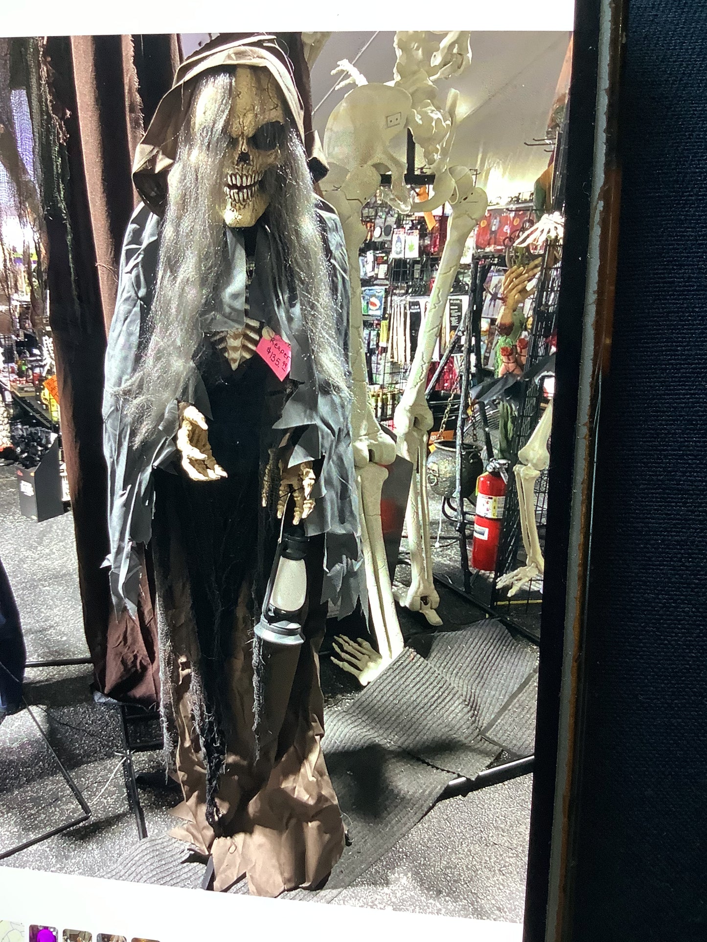 5.5 ft. Skeleton Reaper with Lantern