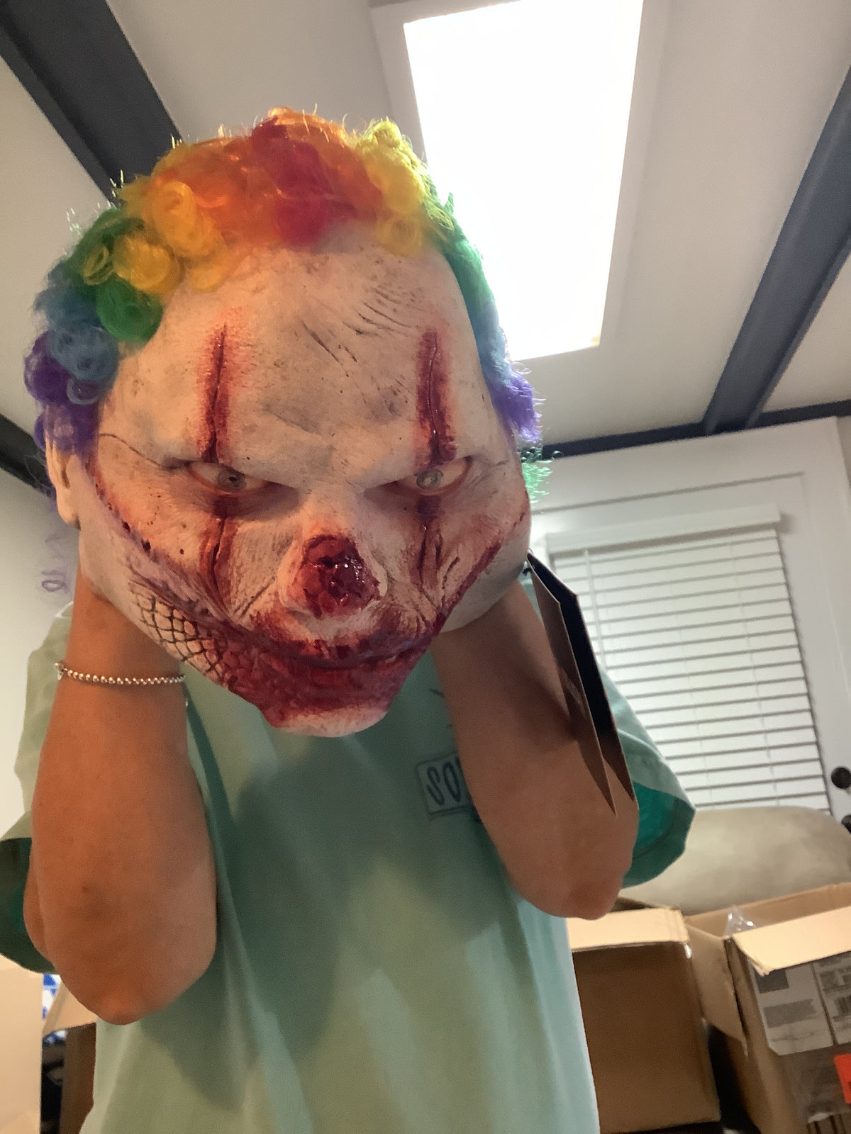 Clown Mask