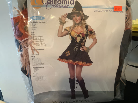 Sassy Scarecrow - Adult XL (12-14)