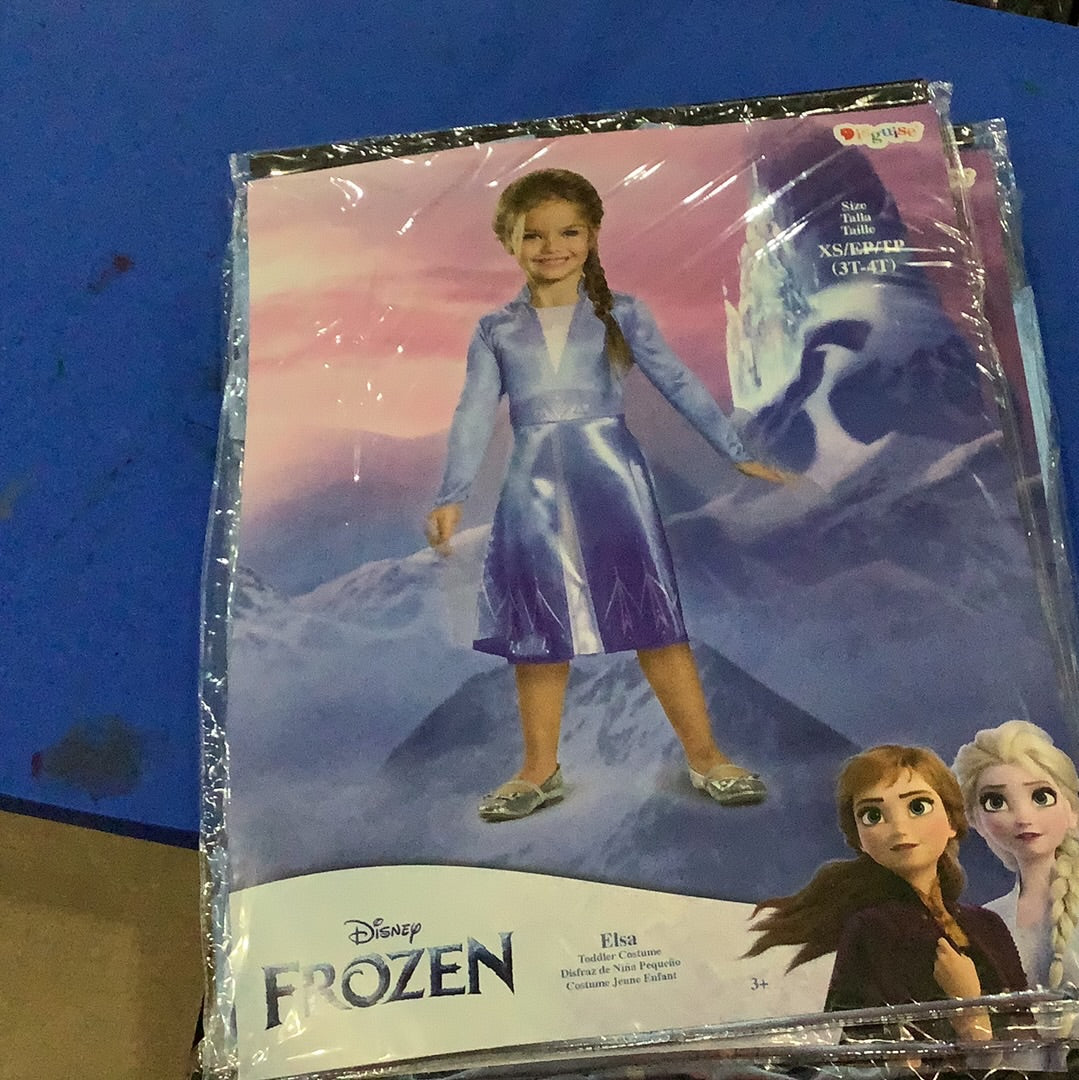 *Disney Frozen - Elsa - Toddler Small (2T)