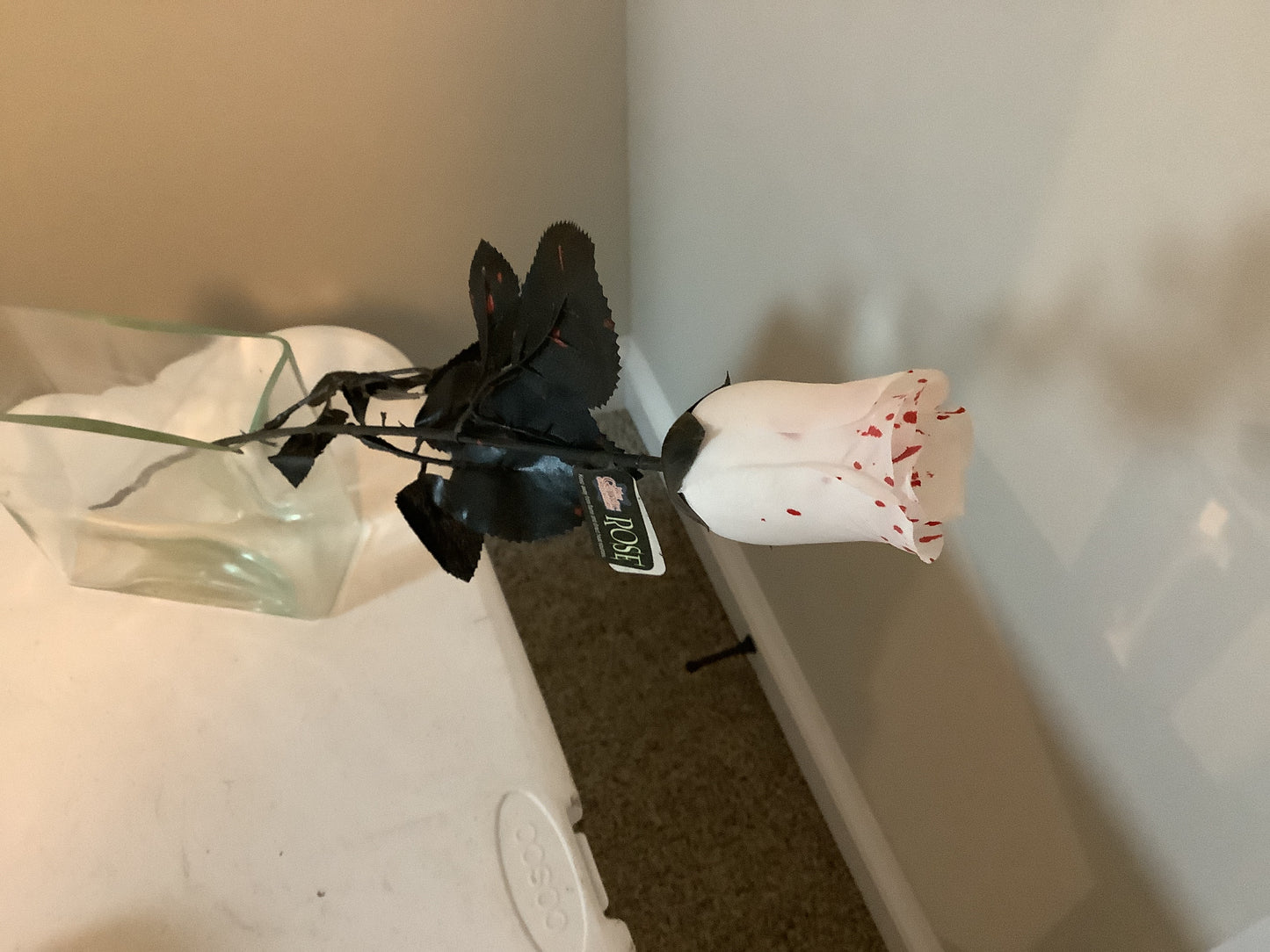 *Dripping Blood White Rose