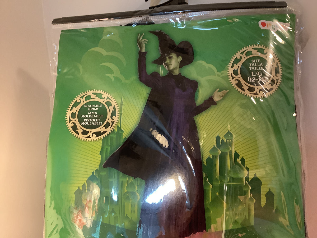 Wicked Elphaba - Adult - LG