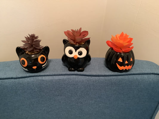 4” Halloween Succulent Planter - Assorted