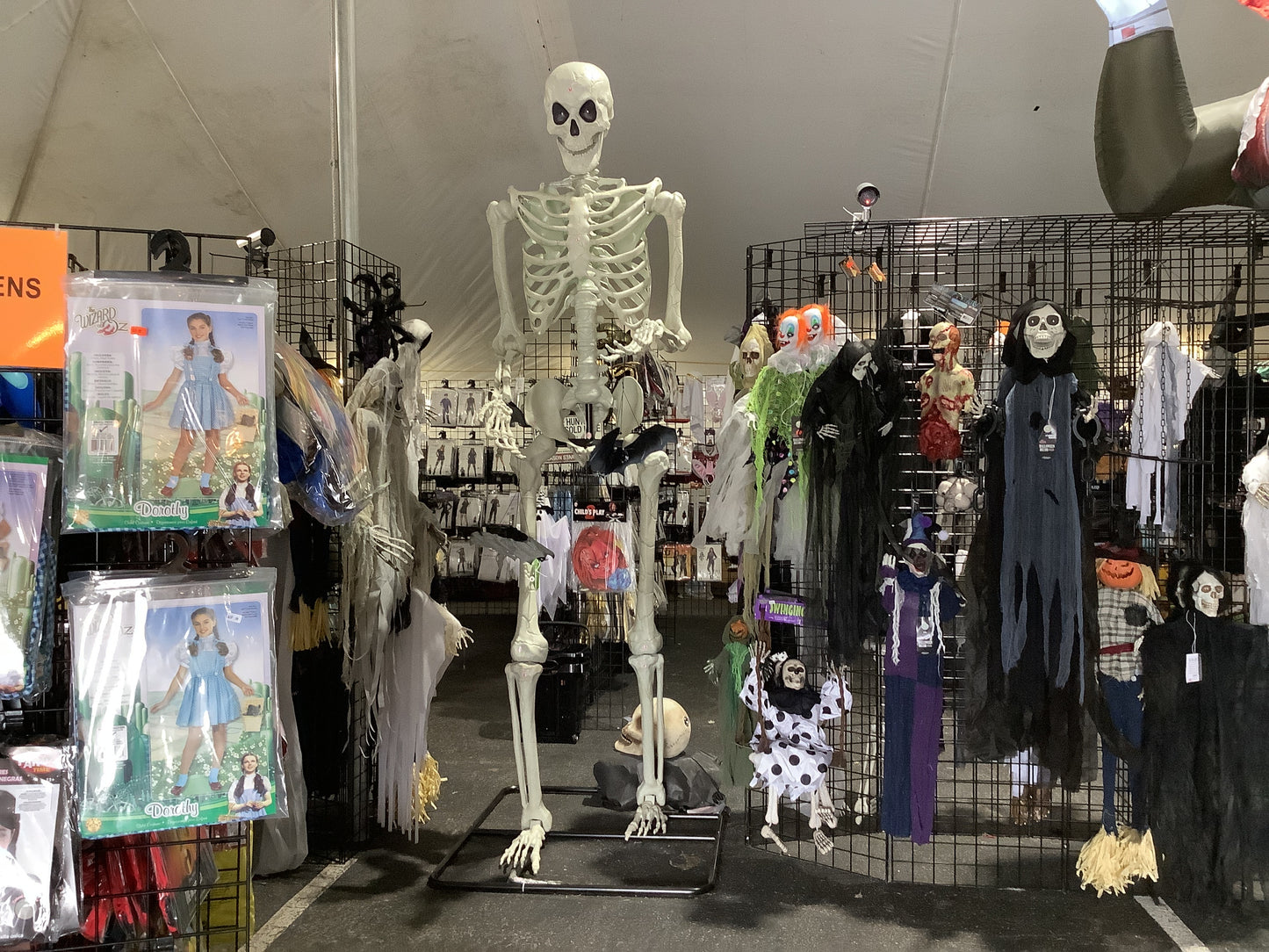 10 FT Standing Titan Skeleton w/multicolored lights