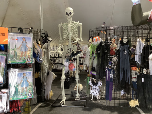 10 FT Standing Titan Skeleton w/multicolored lights