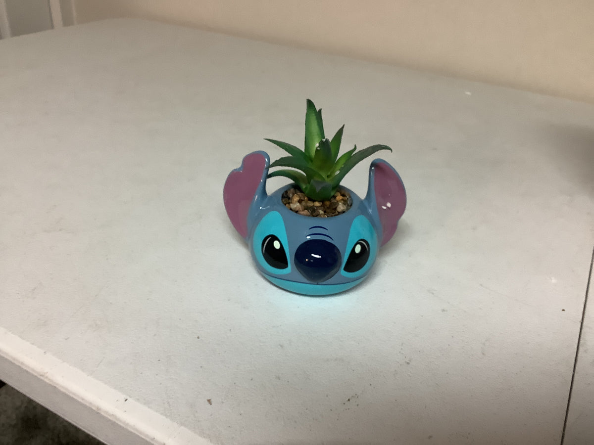 Lilo & Stitch Succulent