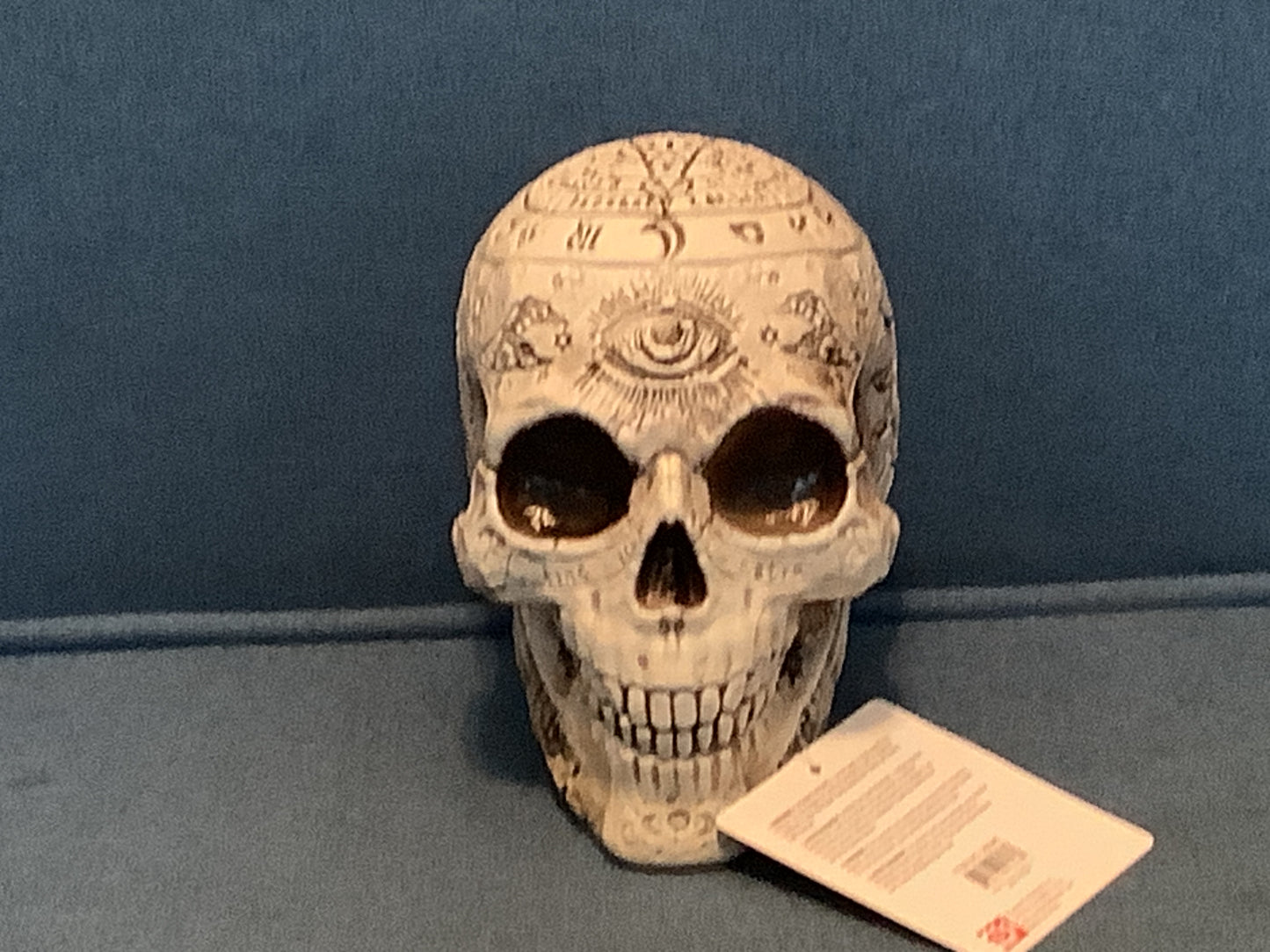 7” Fortune Telling Skull