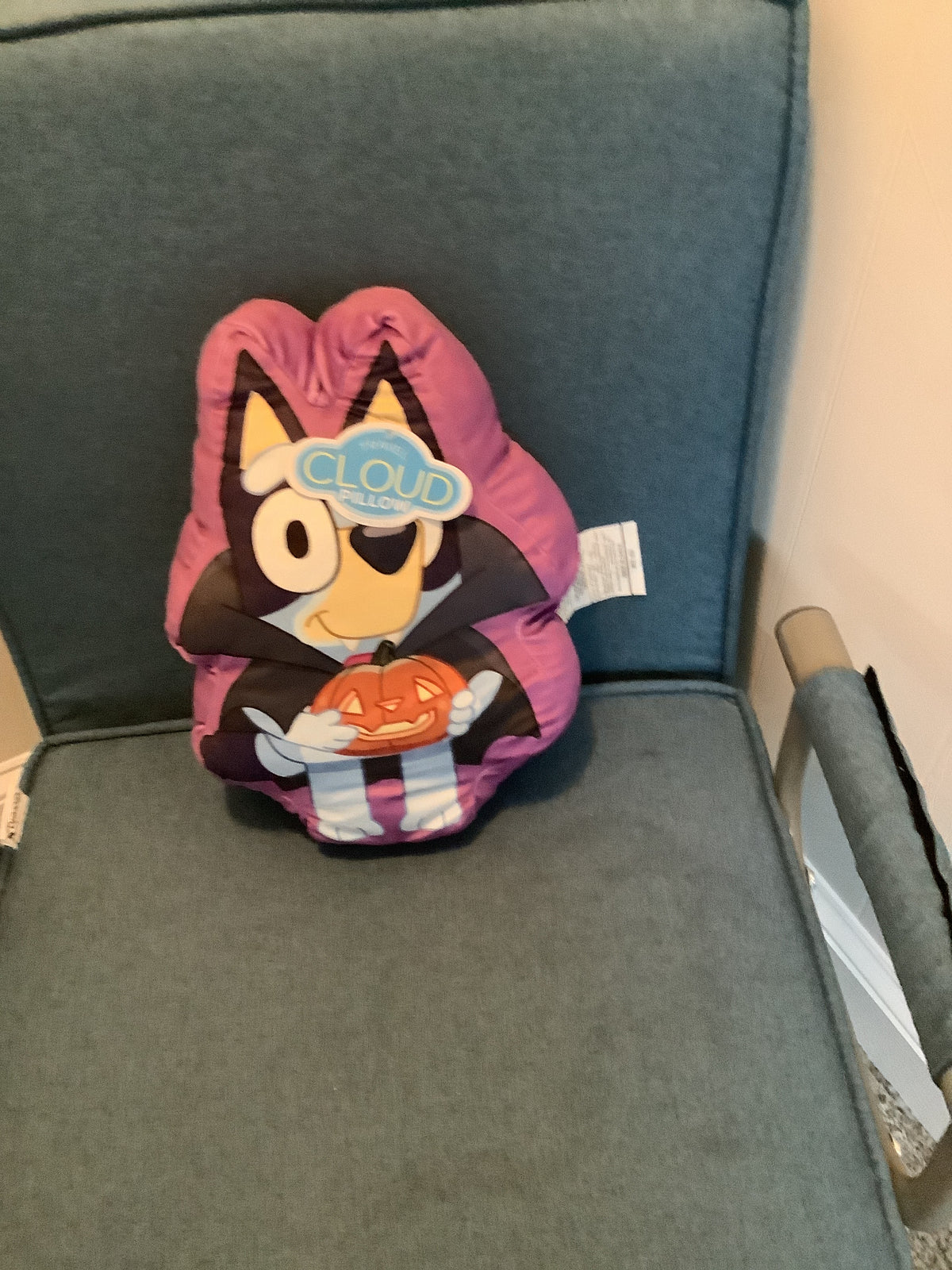 Bluey Halloween Pillow
