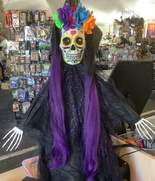 Day of the Dead Hanging Skeleton