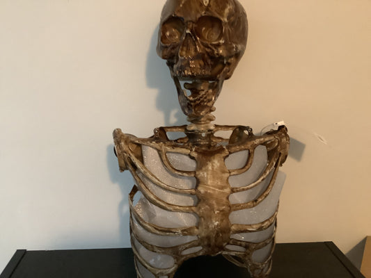 Torso with Light Up Eyes