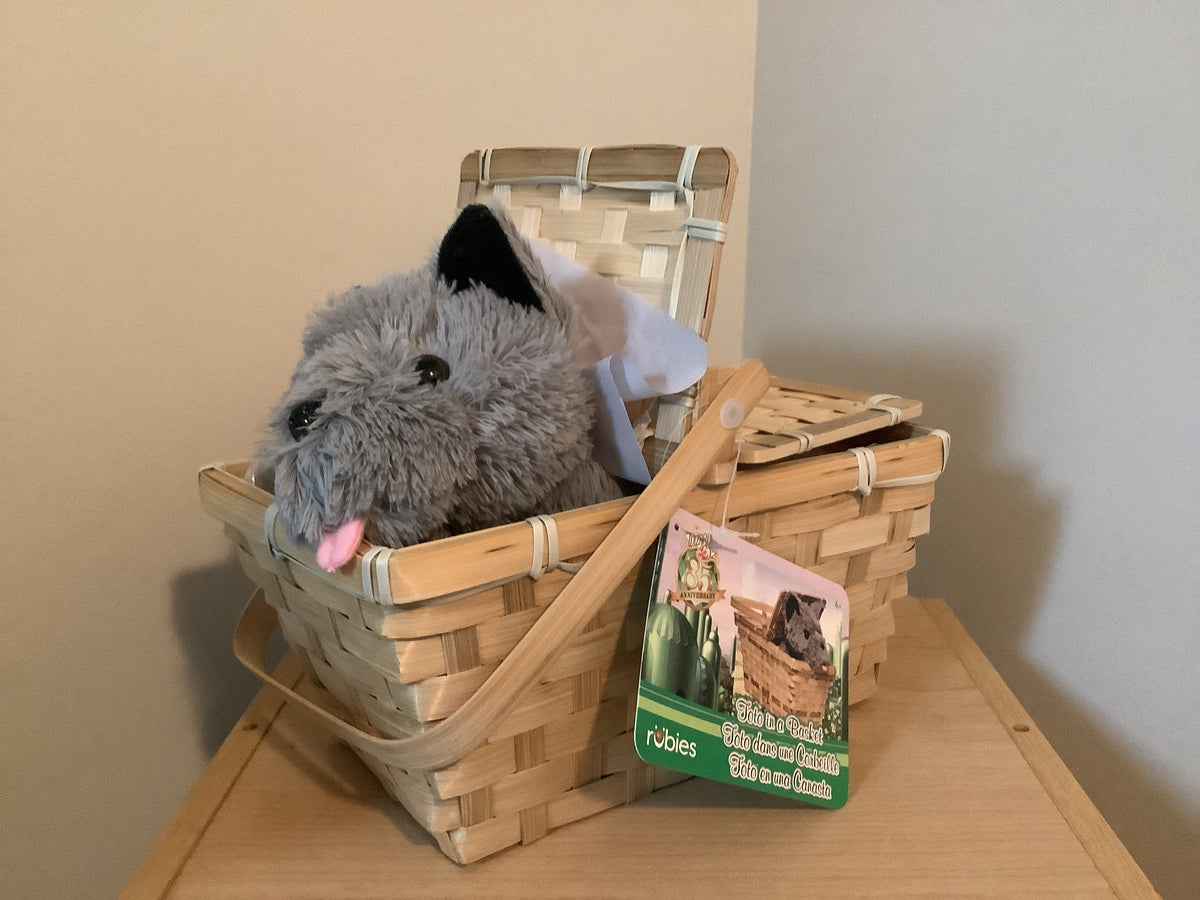 Deluxe TOTO in a Basket