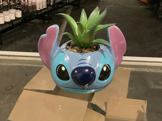 Disney Lilo & Stitch Succulent
