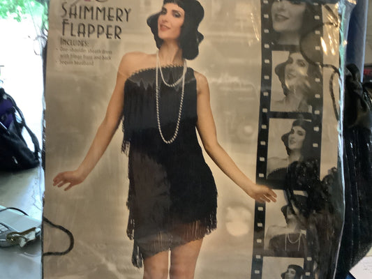 1920’s Shimmery Flapper Adult Sm-Med