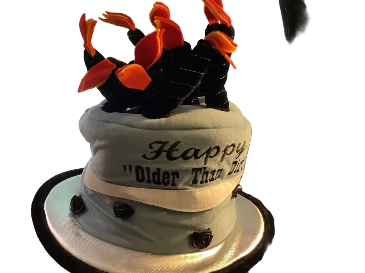 Adult Older Than Dirt Hat