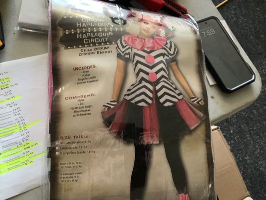 Circus Harlequin - Child LG
