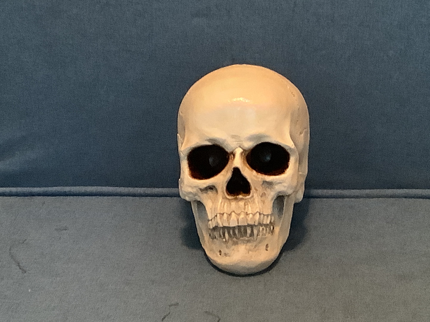 Resin Skull