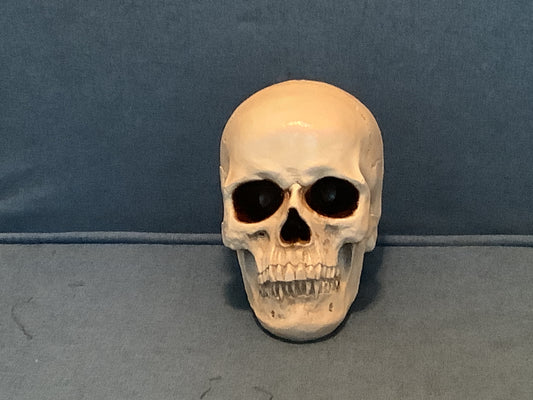Resin Skull