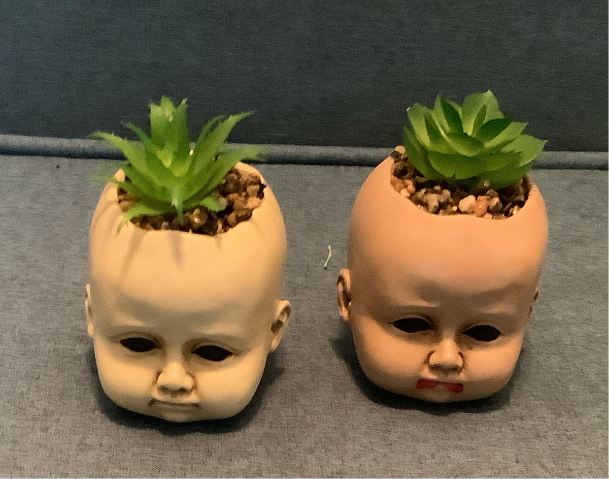 Creepy Succulent