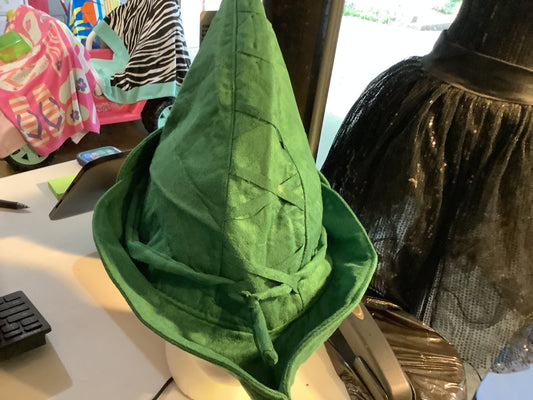 Adult Peter Pan Hat