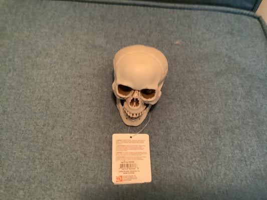 *7.9” Plastic Skull