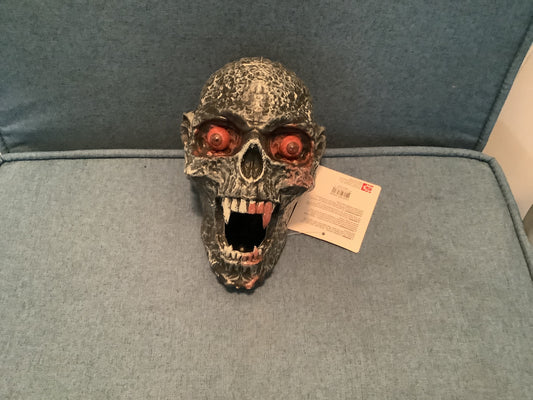7.9” Skull