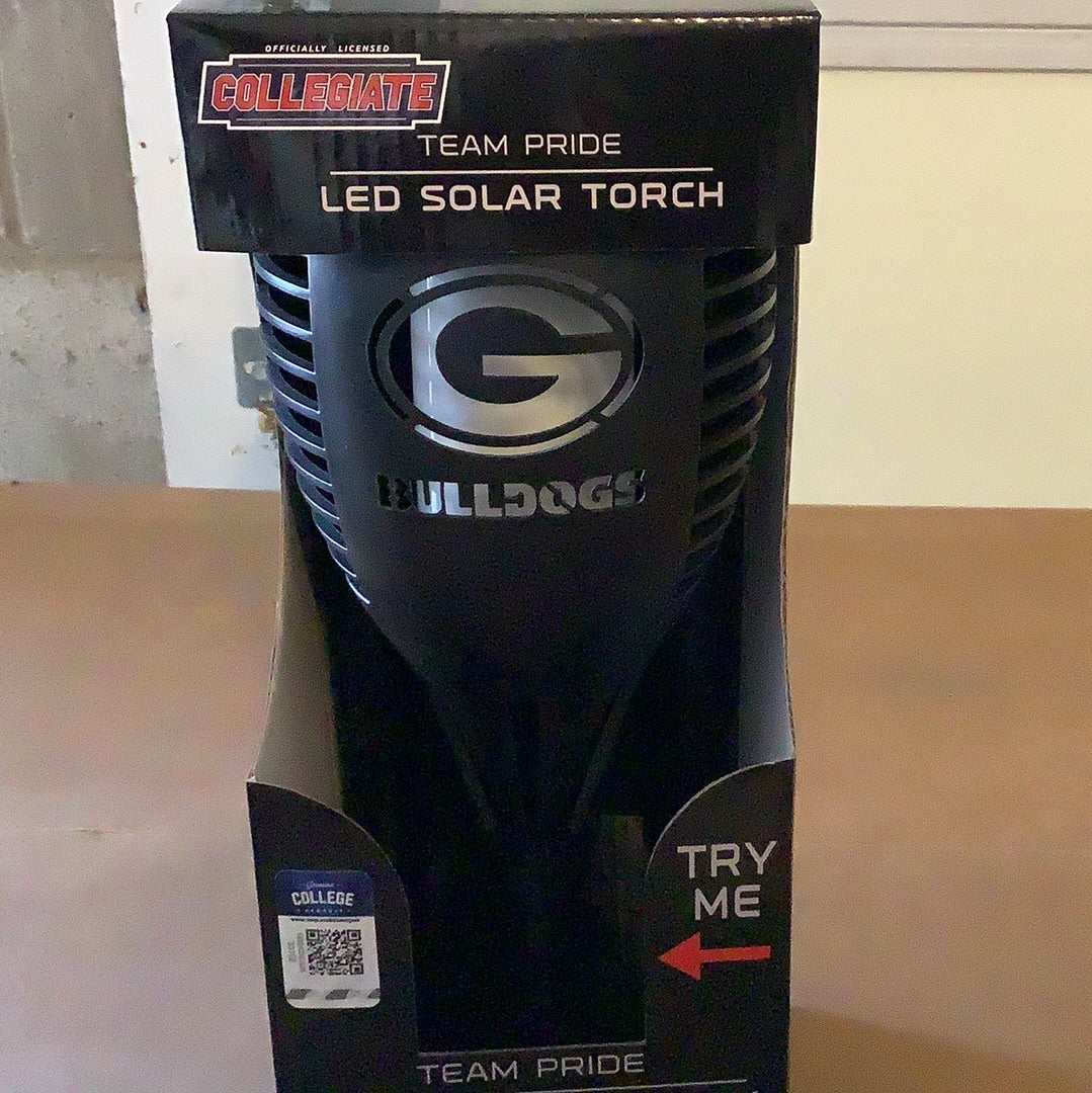 Sports LED Solar Torch